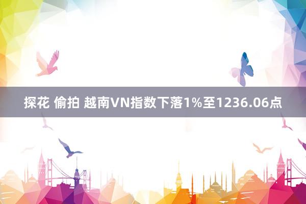 探花 偷拍 越南VN指数下落1%至1236.06点