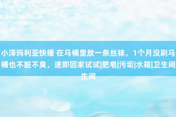 小泽玛利亚快播 在马桶里放一条丝袜，1个月没刷马桶也不脏不臭，速即回家试试|肥皂|污垢|水箱|卫生间