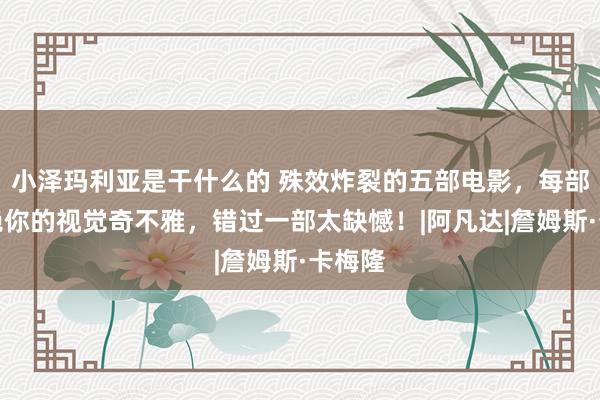 小泽玛利亚是干什么的 殊效炸裂的五部电影，每部齐卓绝你的视觉奇不雅，错过一部太缺憾！|阿凡达|詹姆斯·卡梅隆