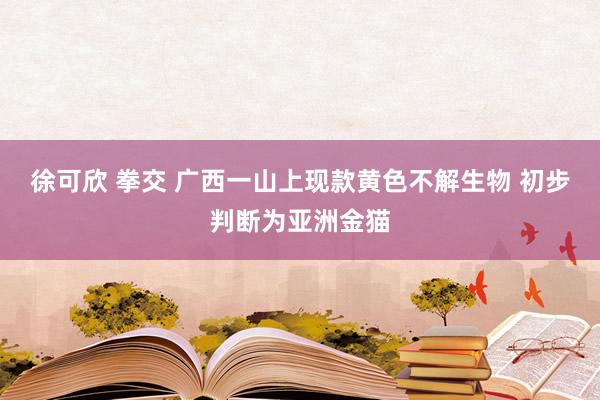 徐可欣 拳交 广西一山上现款黄色不解生物 初步判断为亚洲金猫