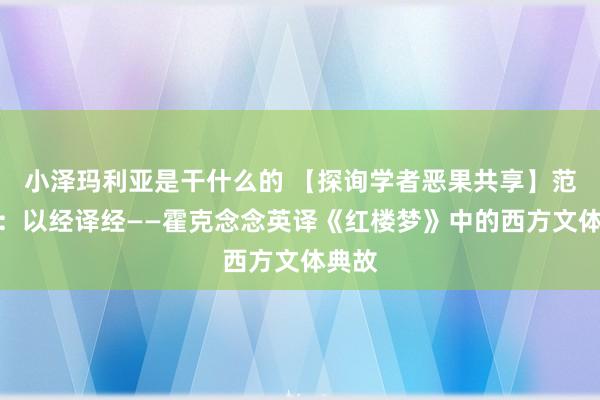 小泽玛利亚是干什么的 【探询学者恶果共享】范圣宇：以经译经——霍克念念英译《红楼梦》中的西方文体典故