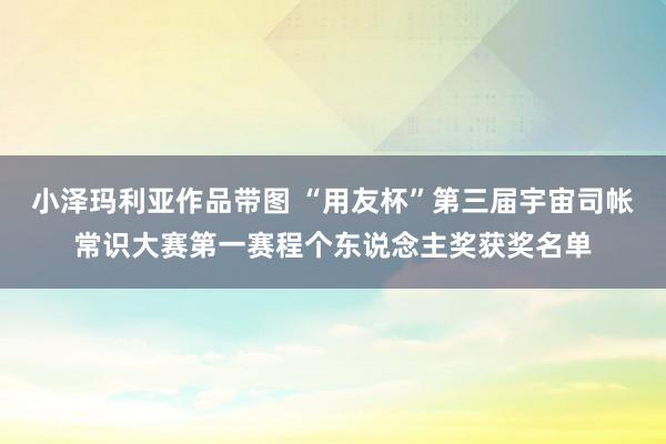 小泽玛利亚作品带图 “用友杯”第三届宇宙司帐常识大赛第一赛程个东说念主奖获奖名单