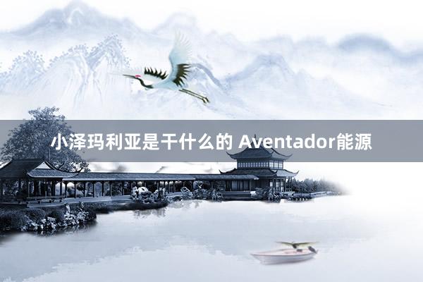 小泽玛利亚是干什么的 Aventador能源